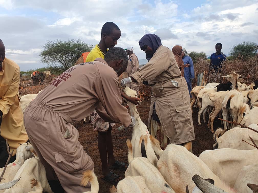 Meet Zamzam, breaking the bias to pursue a male-dominated profession