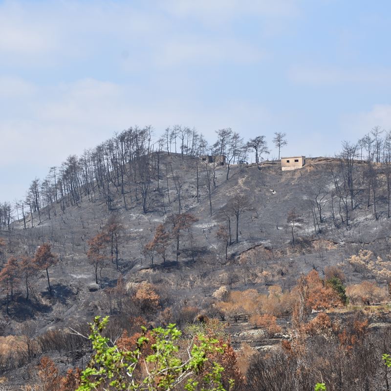 An affected village in Balloran area, Qastal Maaf. DRC, 2025.