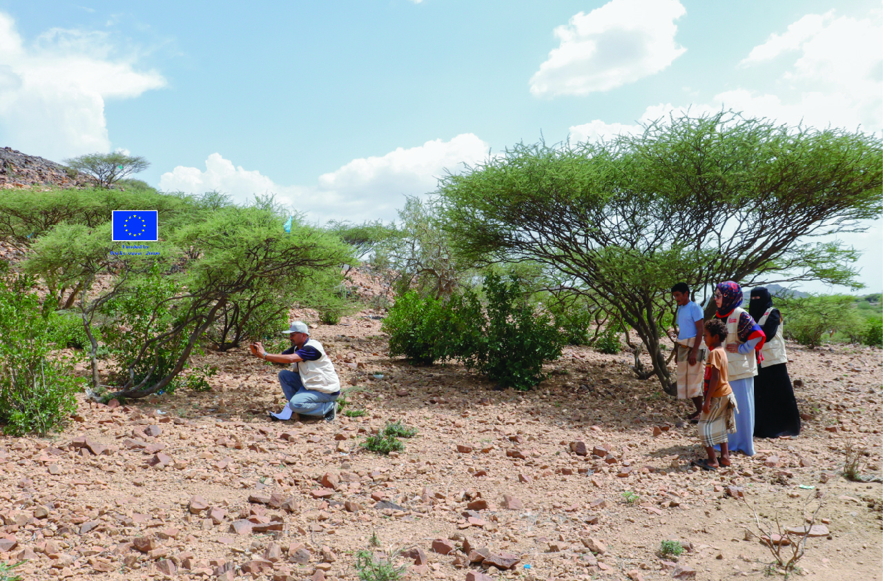 To ensure the safety of the community, Abdulfattah photographed the rocket from a safe distance, accurately recording its coordinates, and placing a warning sign at the site to prevent anyone from approaching.  He then alerted the EOD team to arrange for its safe removal. The EOD team removed the rocket within two days, removing this deadly risk from the village.Helmi Marei, 2024