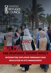 Gaza: One Response, Shared Impact - Integrating Explosive Ordnance Risk Education in Site Management