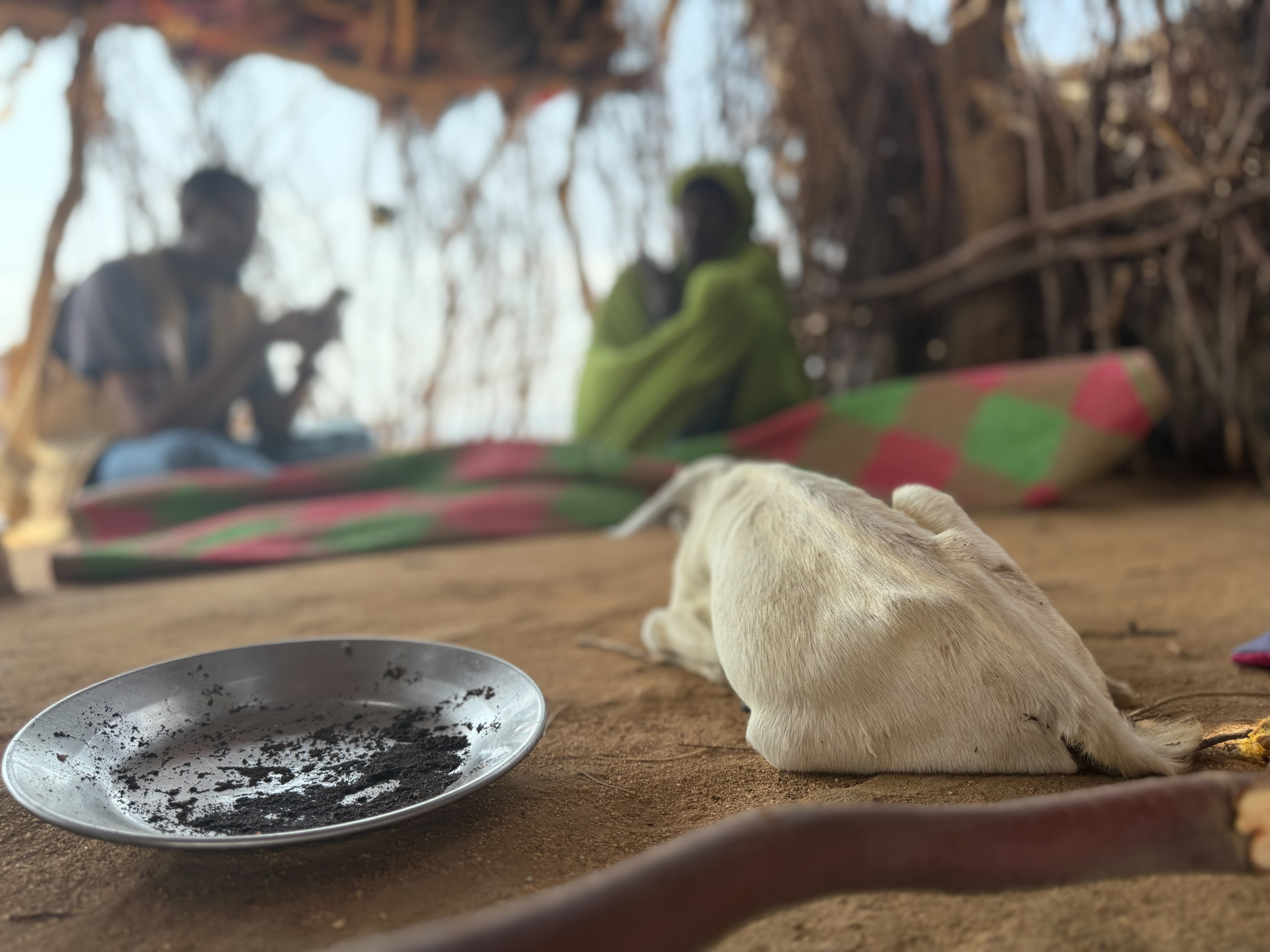 Needs and Gaps Remain High