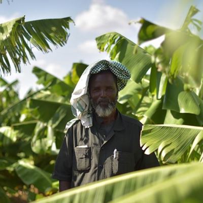 Climate action: Crosscutting principle in all four sectors