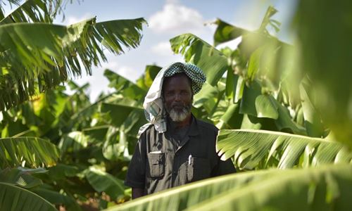 Go green: Climate and environment action