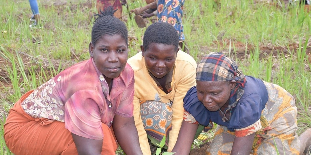 Framework for Climate and Environment