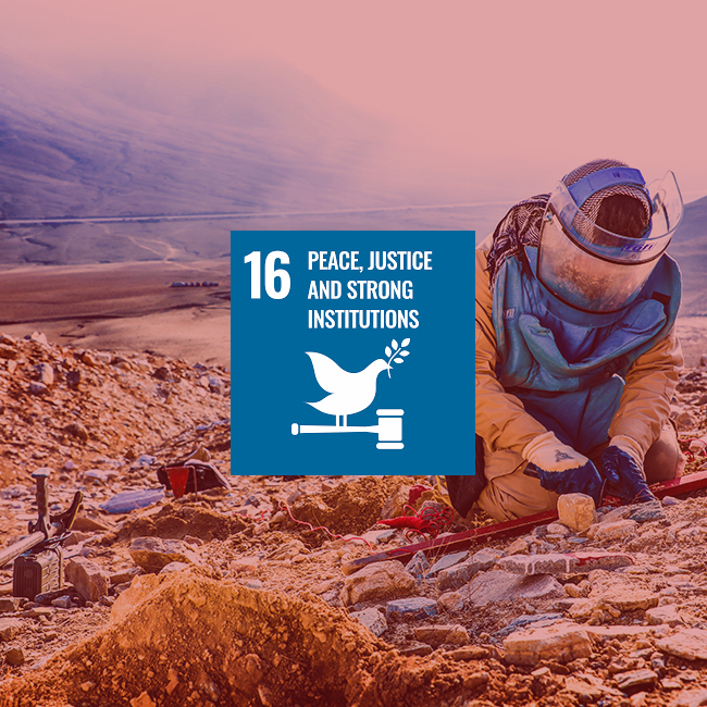 Goal 16: Peace, justice and strong institutions